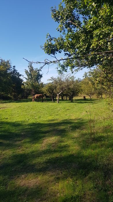 Продава имот в гр.Сапарева баня