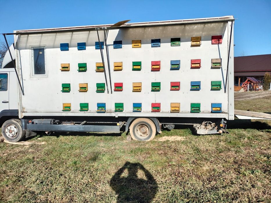 Vand familii de albine