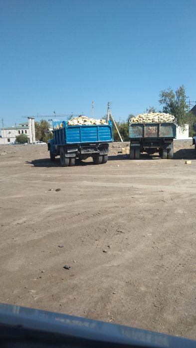 Pishgan gisht 1100 sum kelishamiz