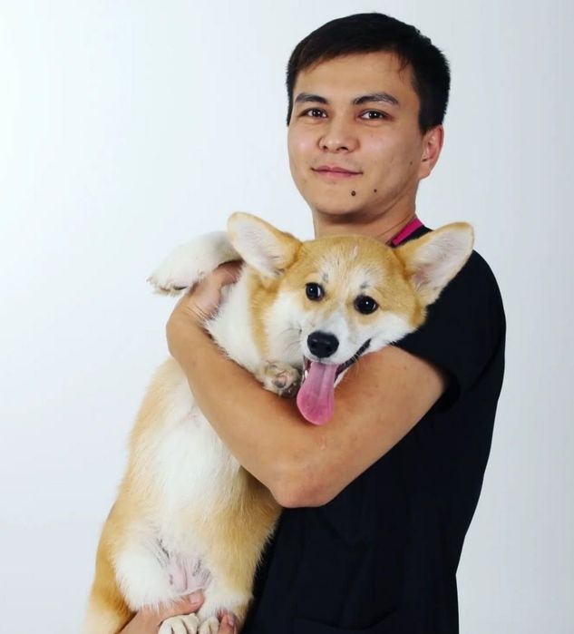 Ветеринар на выезд