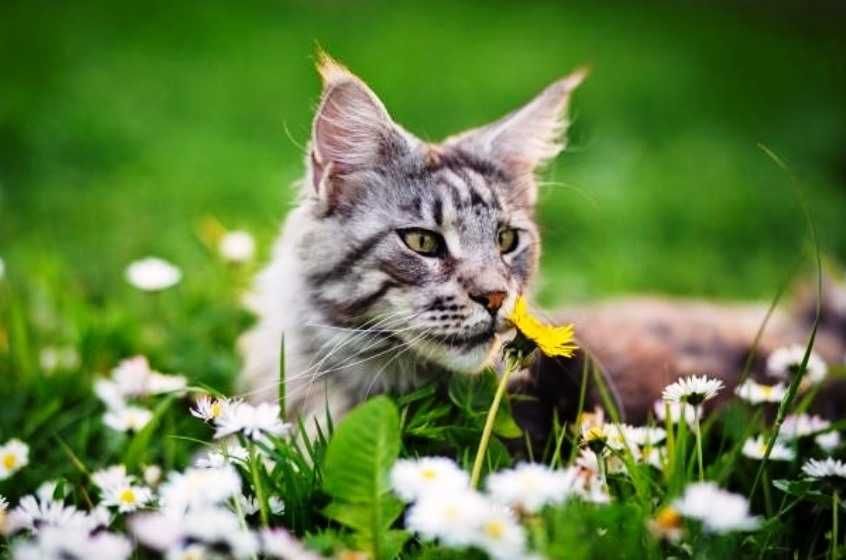 Стари фотоленти негативи и диапозитиви - дигитализиране на всеки кадър