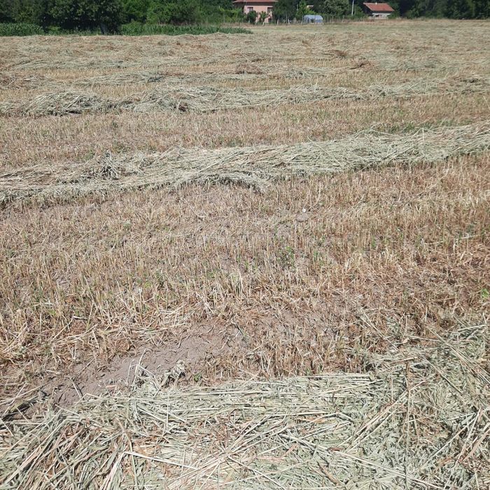 Продавам овес на малки бали
