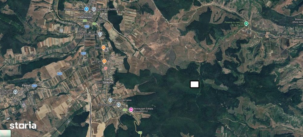 Padure de foioase 35.550MP, la 5km din loc. Romanasi, jud. Salaj