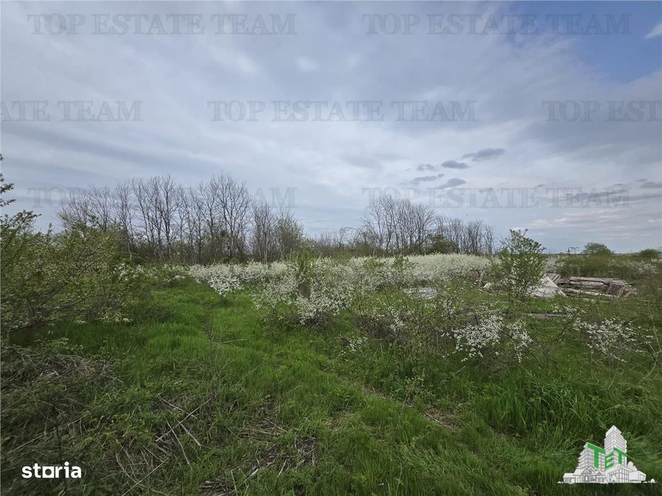 TEREN INTRAVILAN la 20 minute de Bucuresti