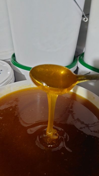 Мёд натуральный с пасеки.