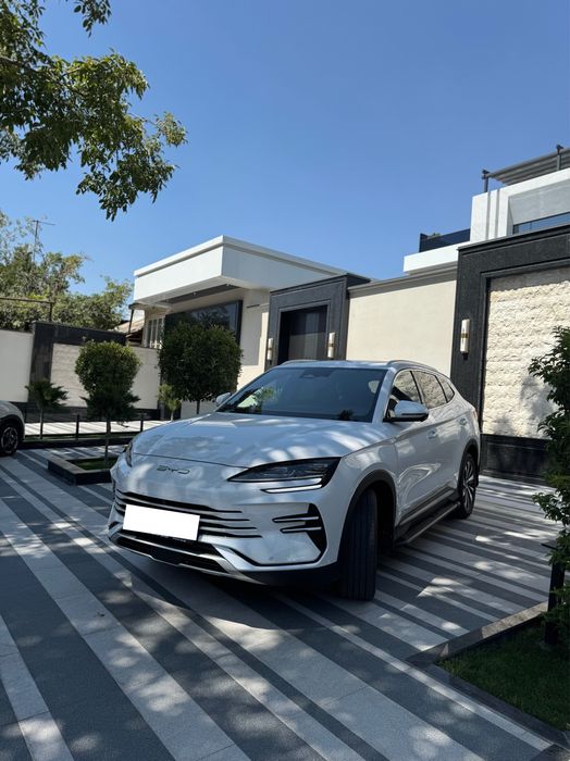 Byd chempion 2026 yil 150 talik