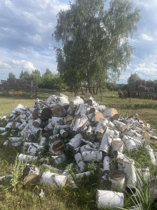 Продам колотые дрова береза кубами