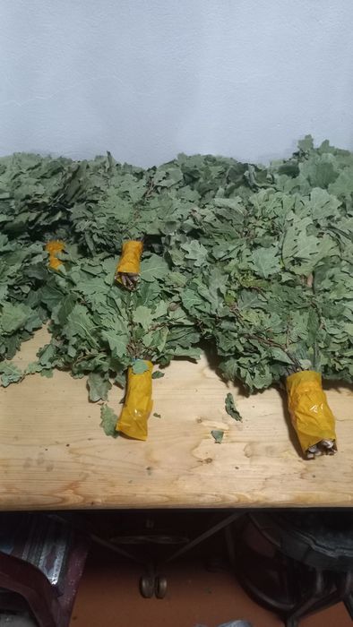 Веники Баные. Дуб,береза.