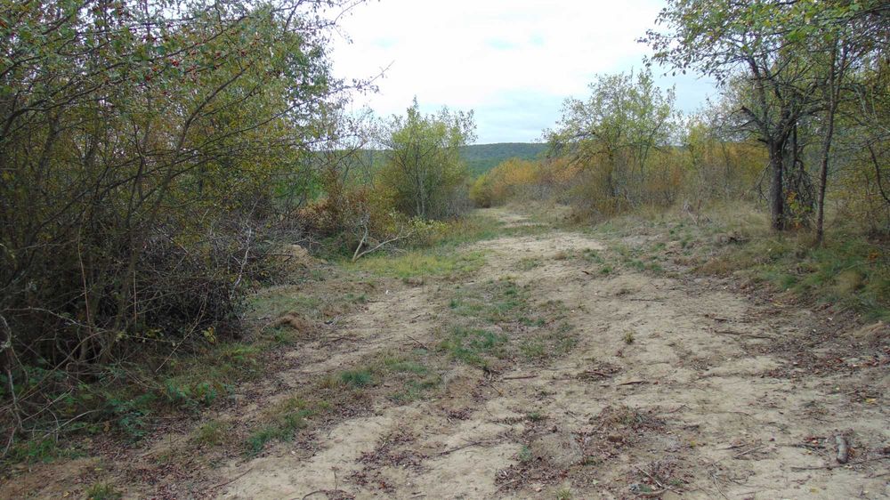 Vindem terenuri intravilane in Cladova