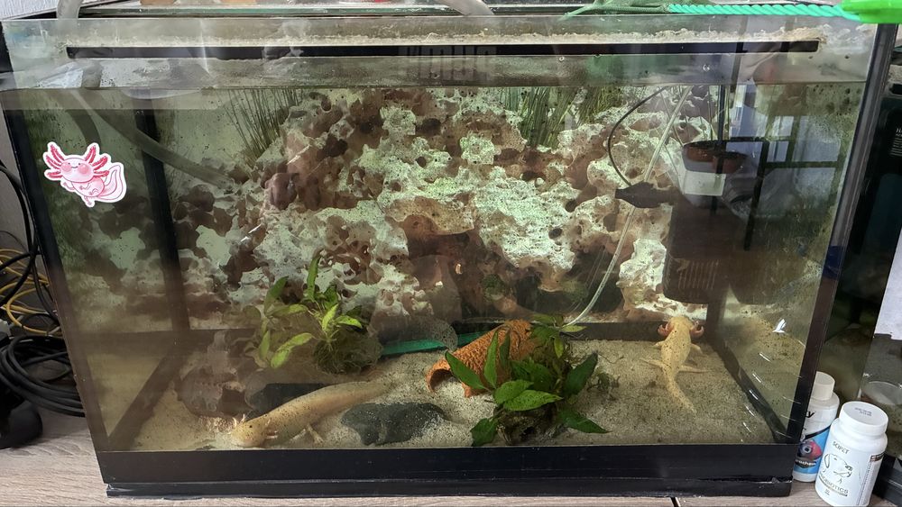 Аквариум 110л.