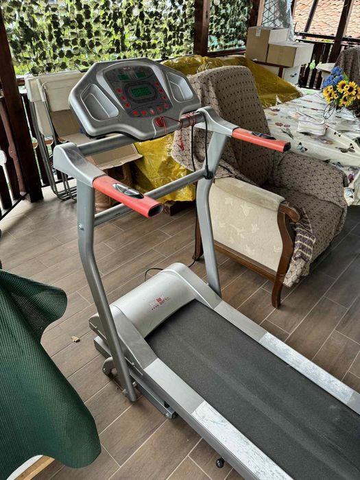 Електрическа пътека