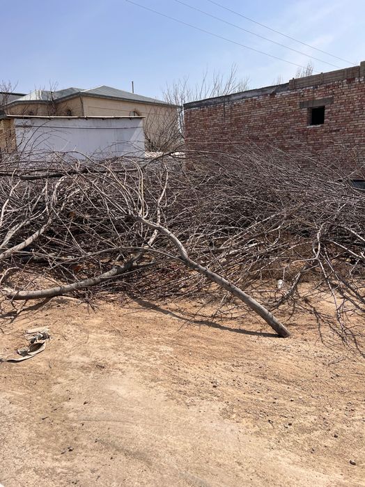 Отын сатылады. Продается дрова