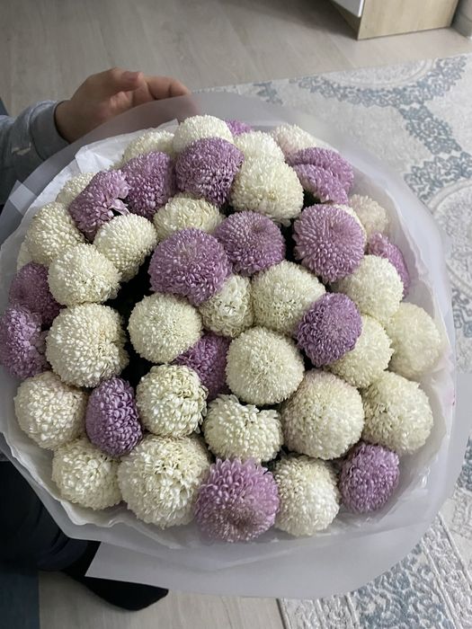 Свежий гүл бағасын келісеміз