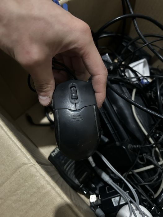 Есть мышки и клавиатура