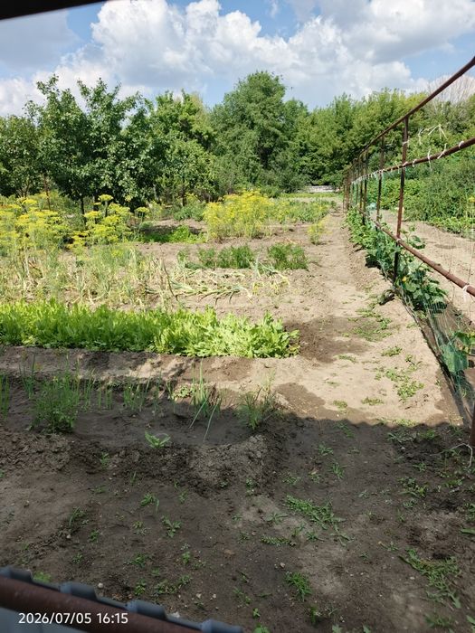 Продам дачу  в районе кривого озера