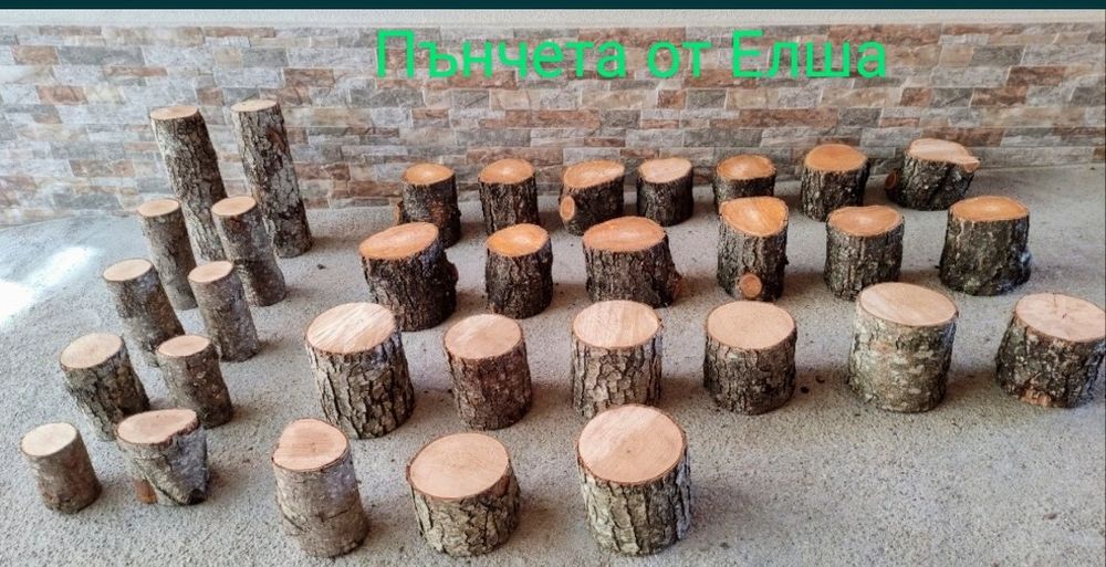 Дървени шайби Дъб,Елша,Бреза,Габер,Бор,Орех,Върба,Леска от 1 лв