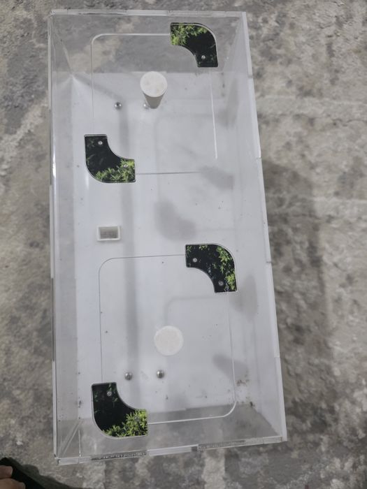 Формикарий для муравьёв