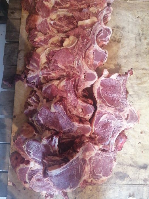 Мясо говядина молодняк