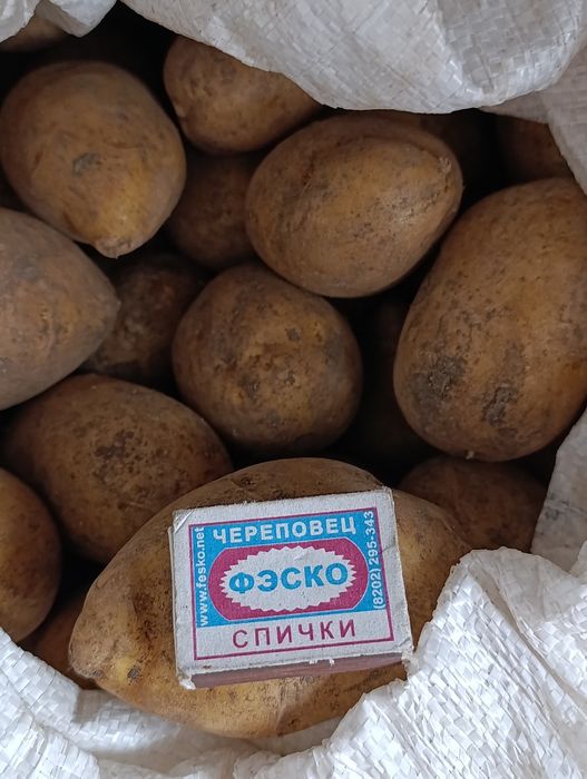 Продам дачный картофель!!!
