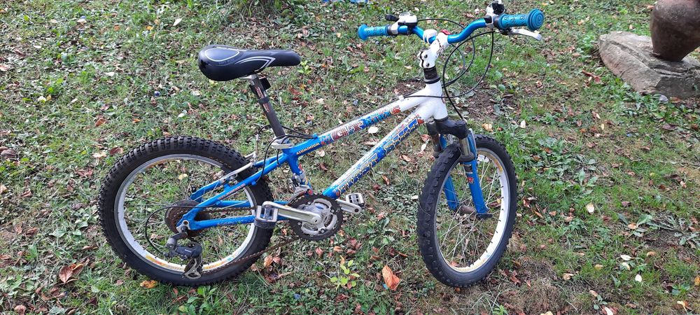 Bicicleta copii First Bike 20", DHS 26"