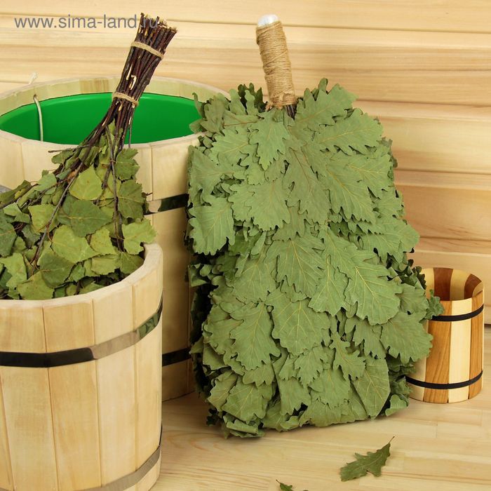 Дубовый веник для парения