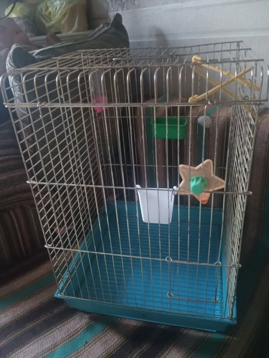 Клетка для птицы и для хомяка