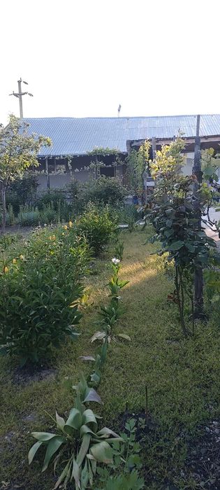 Casa de vânzare in județul Prahova, comuna Draganesti, sat Baraitaru