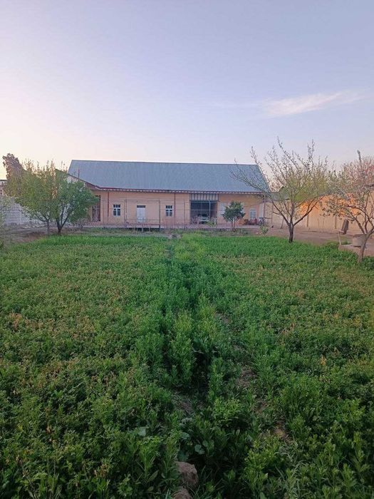 Ҳовли сотилади. М37 автомагистраль ёқасида