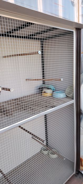 Валер, кафас qafas