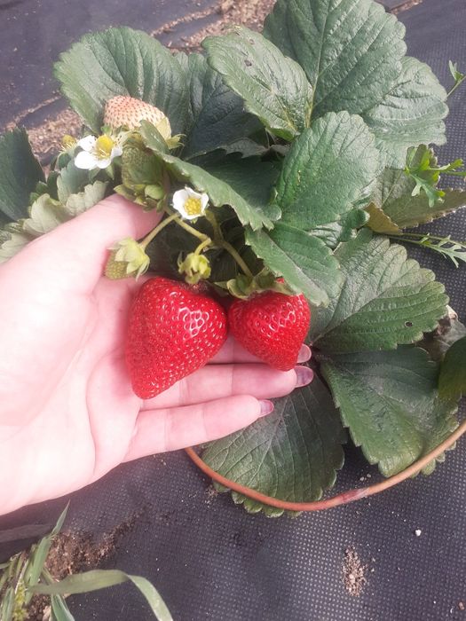 Продам дом...очень теплый добротный