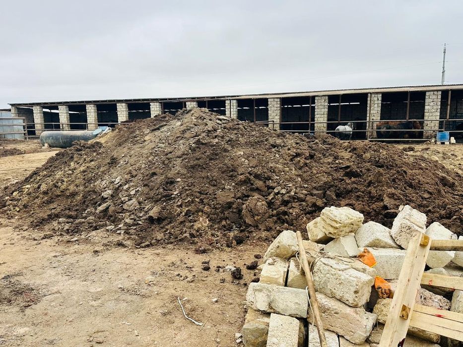 Жылқының тезегі (навоз)