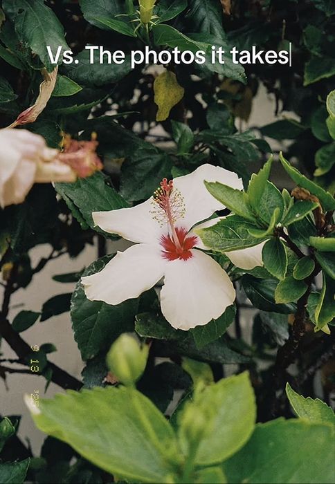 Canon Prima Zoom 90u