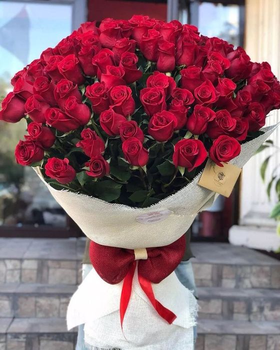 Роза голландские