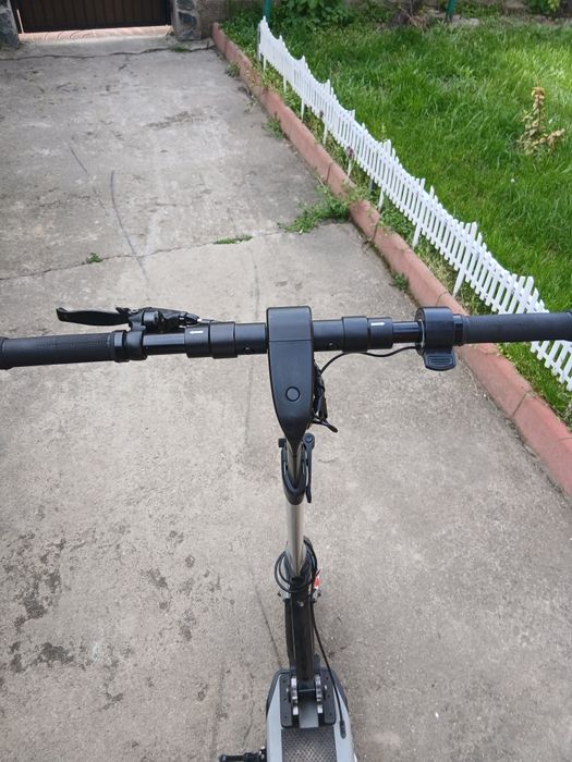 Тротинетка марка buzzard