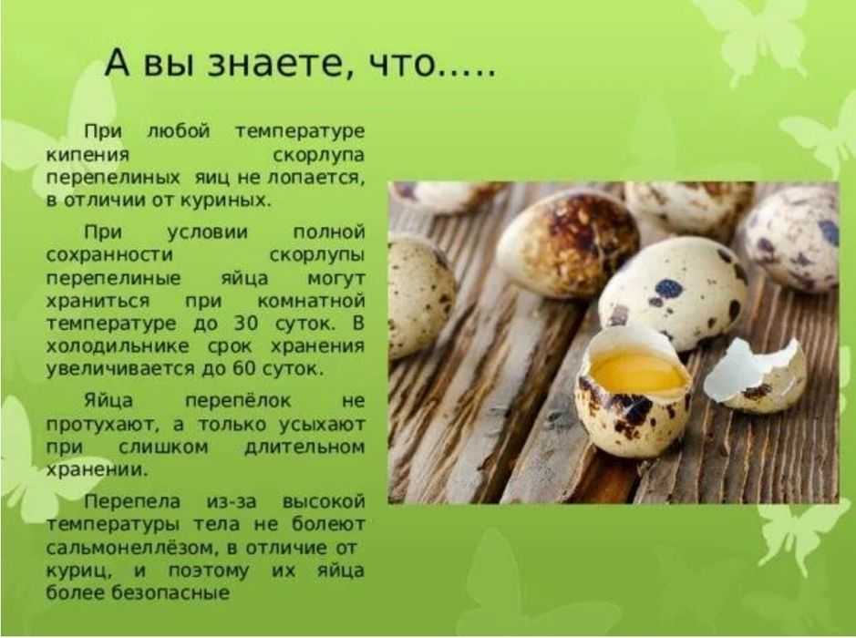 Перепелиное яйцо