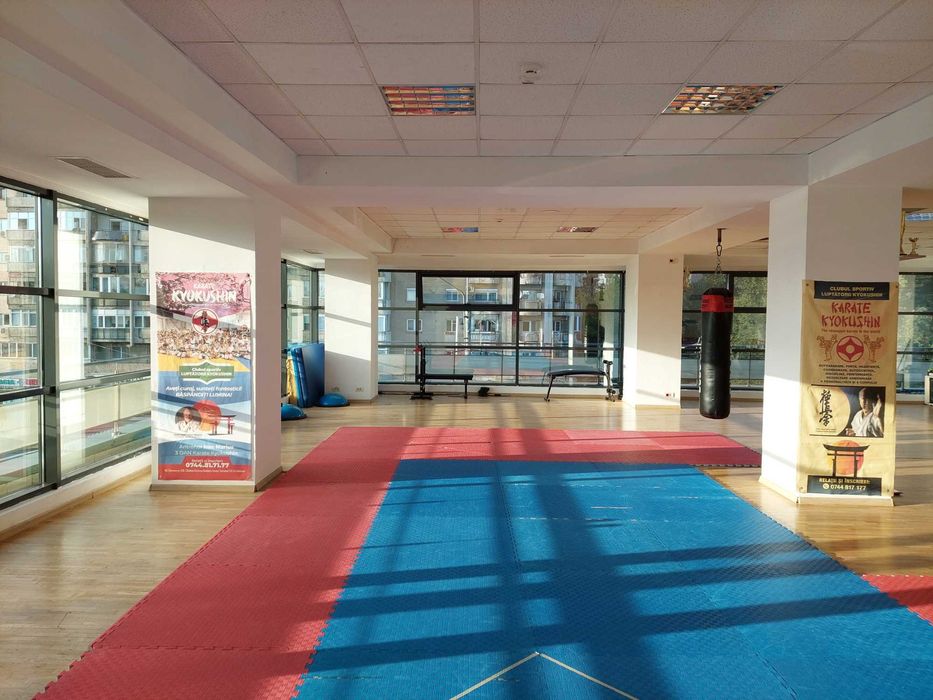 Sala de antrenament arte martiale, dansuri, etc. saltea tatami parchet