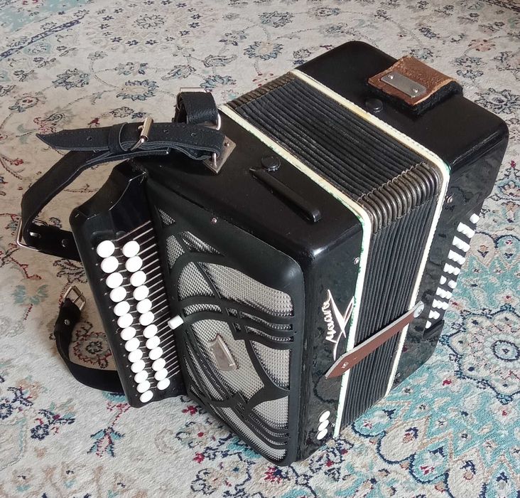 Баян детский Чайка