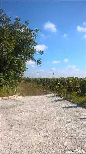 Loturi casa si vie la 10 km de Focsani in Odobesti