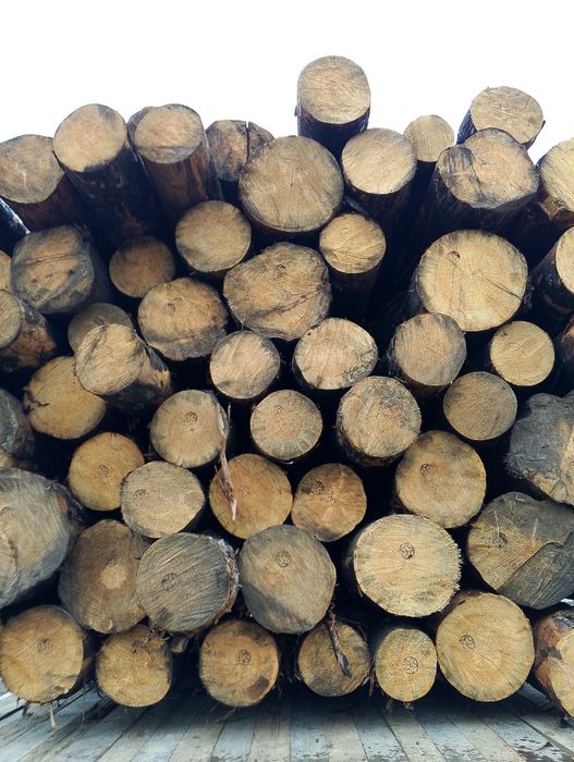 Продам дрова. Доска необрезная