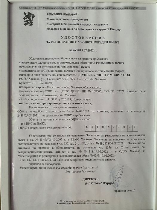 Пудел ред априкот [red apricot poodle] БАБХ лицензиран развъдник