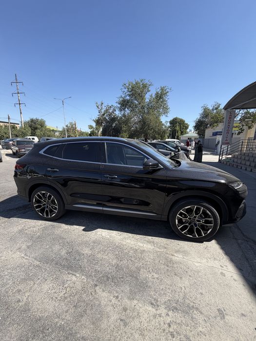 Byd chempion  sotialdi