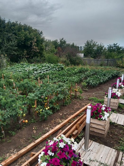 Продам дачу пкст краснопартизанское