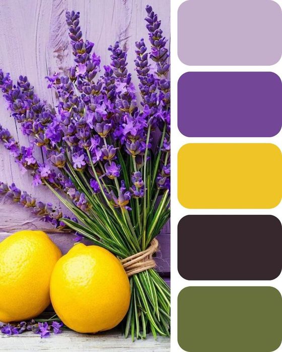 Покраска стен профессиональная, без потёков , косметический ремонт