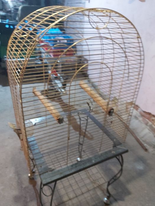 Клетка за голям Папагал