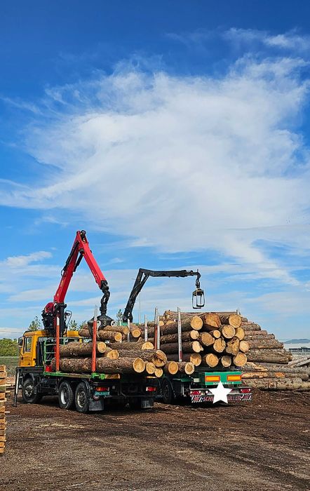 Дървен материал БАШЕВ-СН София