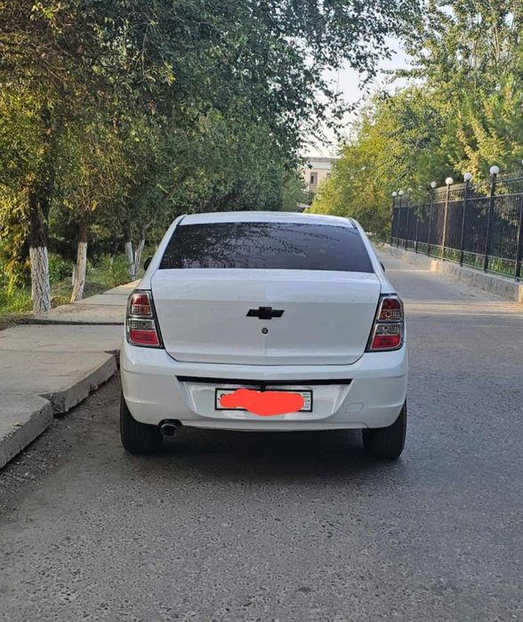 Kobalt midnight 2025   kraska probek radnoy. Cobalt