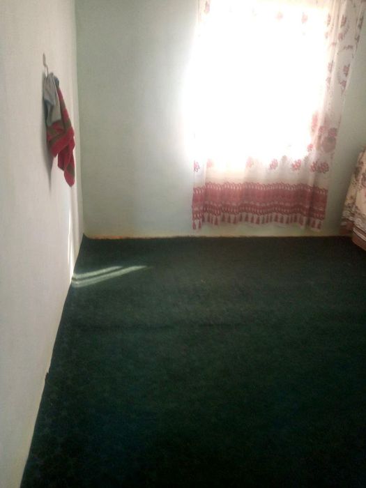 Kotej hovli sotiladi