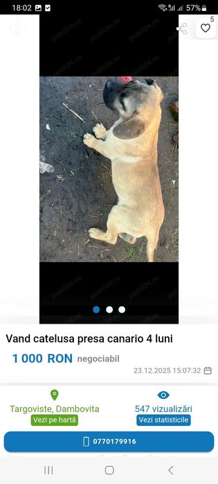 Vand catea presacanario