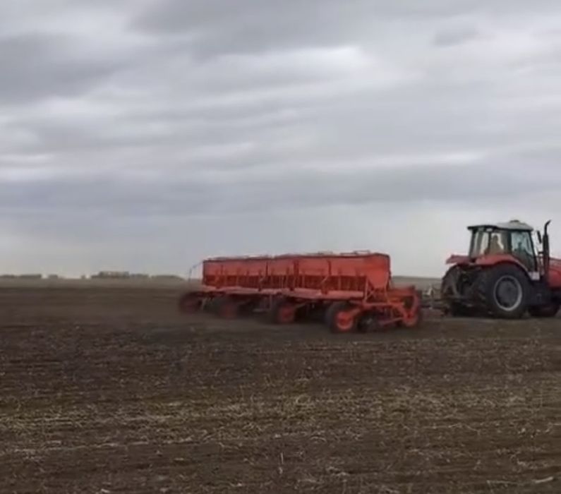 Сеялка сзт продам