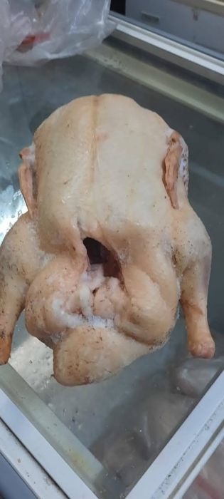 Продам  мясо  домашних  уток  2500 тнг кг